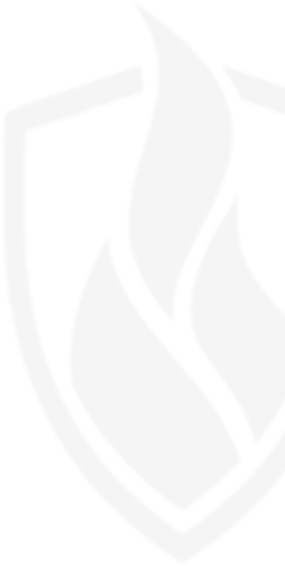 profire icon